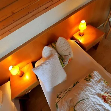 Walter 3* Freiburg im Breisgau